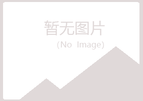 涟源夏日化学有限公司